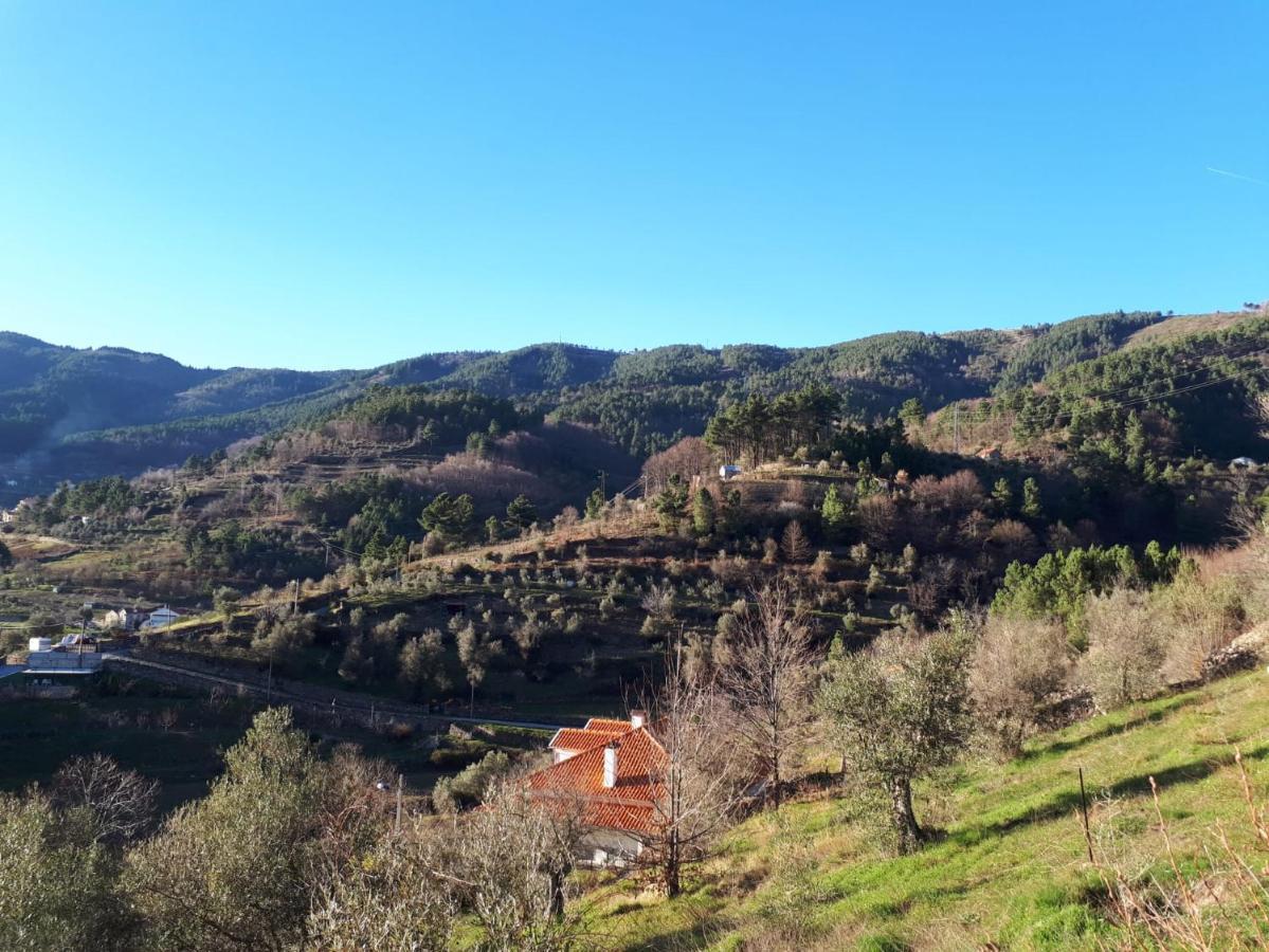 Casa Das Oliveiras - Manteigas Luaran gambar