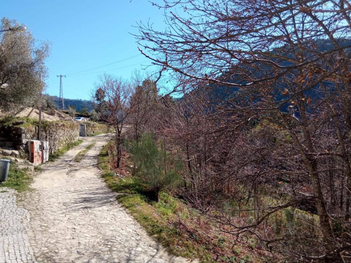 Casa Das Oliveiras - Manteigas Luaran gambar