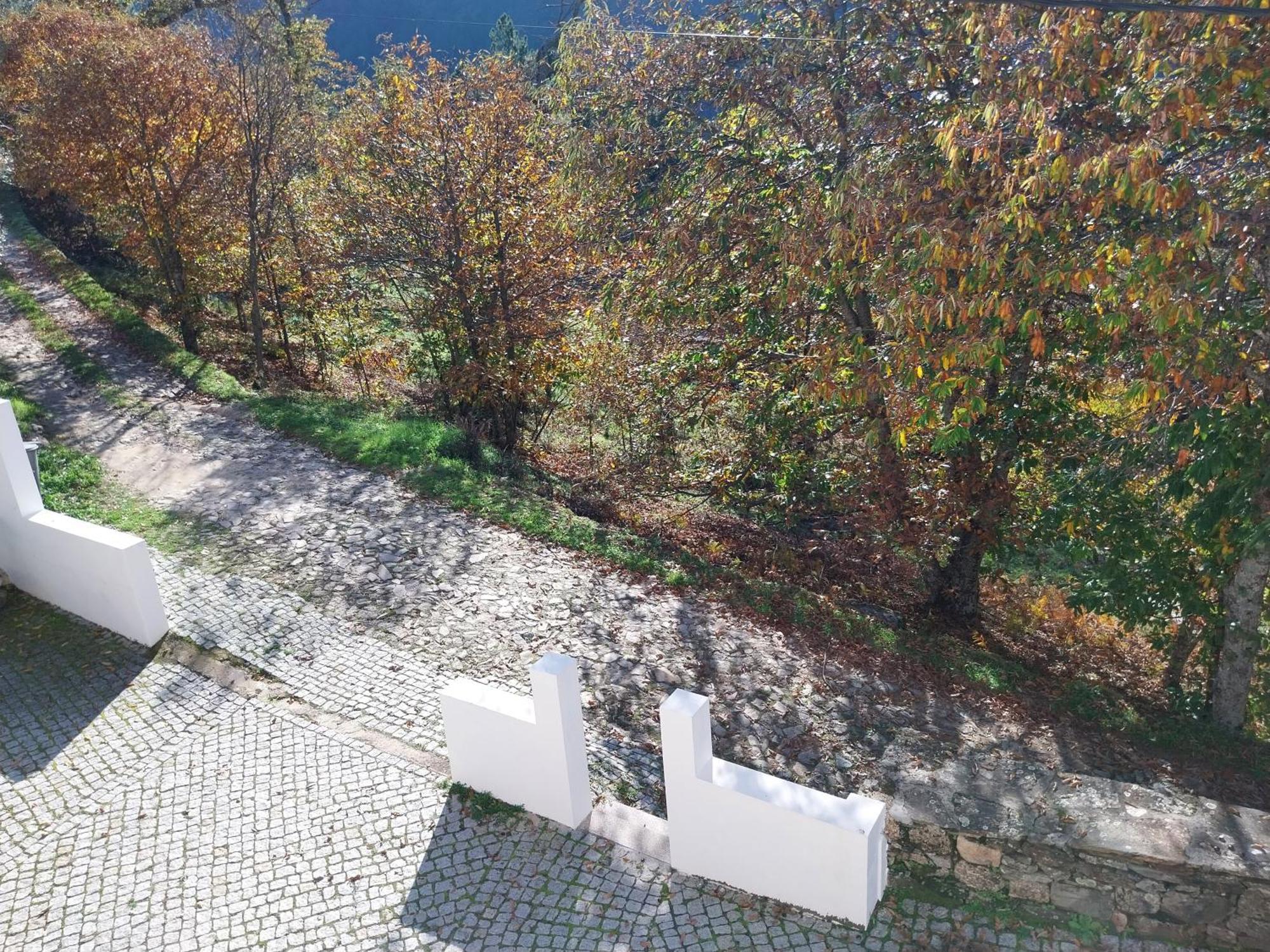 Casa Das Oliveiras - Manteigas Luaran gambar