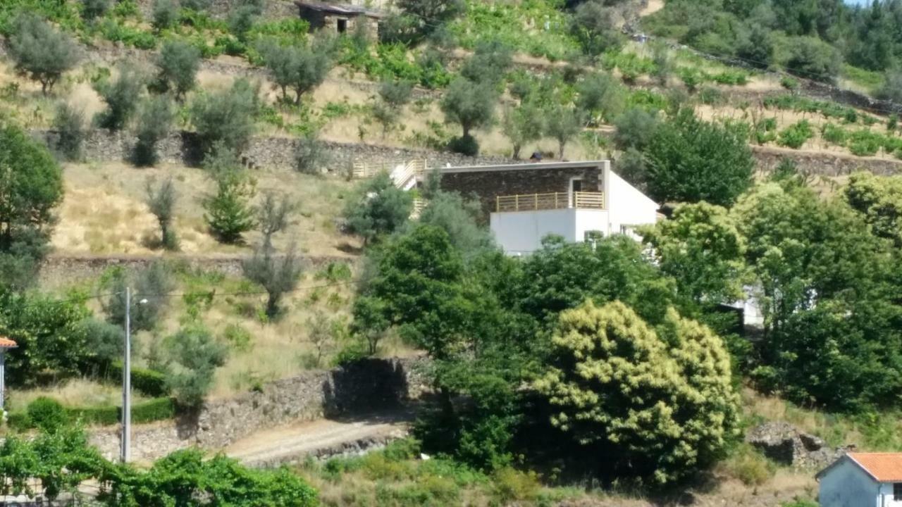 Casa Das Oliveiras - Manteigas Luaran gambar